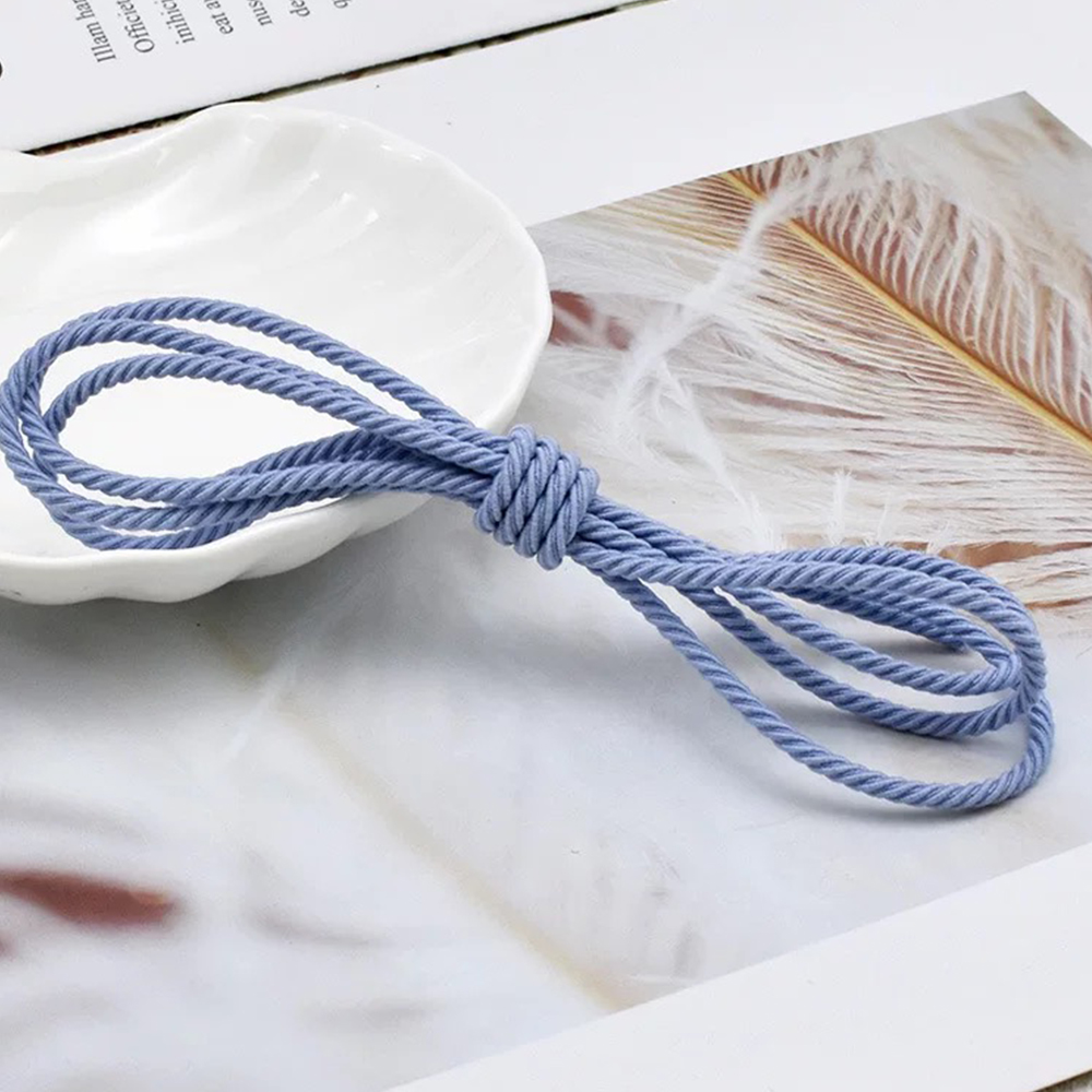 5M/Lot 2.5mm Elastic Rope Brai - Sewing Tas 评论和价格